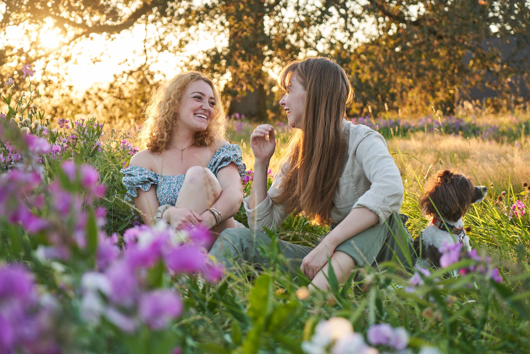 Two women laughing together as they sit among wildflowers in low golden evening light, a small brown-and-white dog in the grass beside them