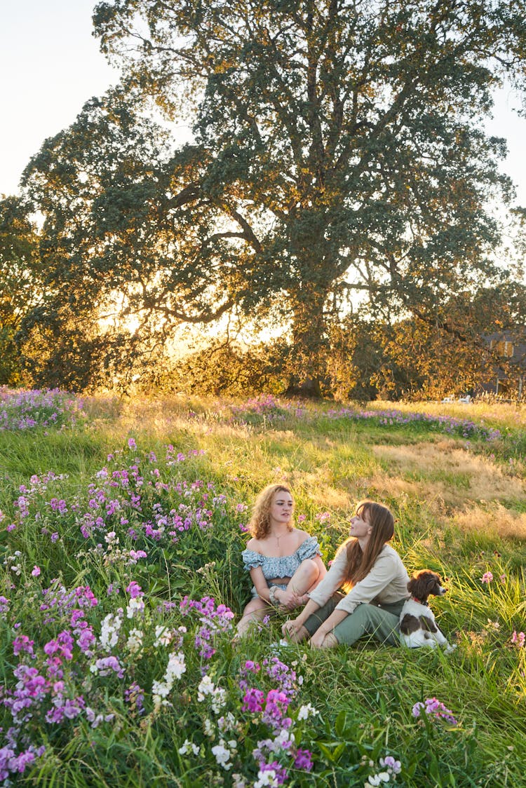 Women And A Dog Sitting On A Field Full Of Flowers