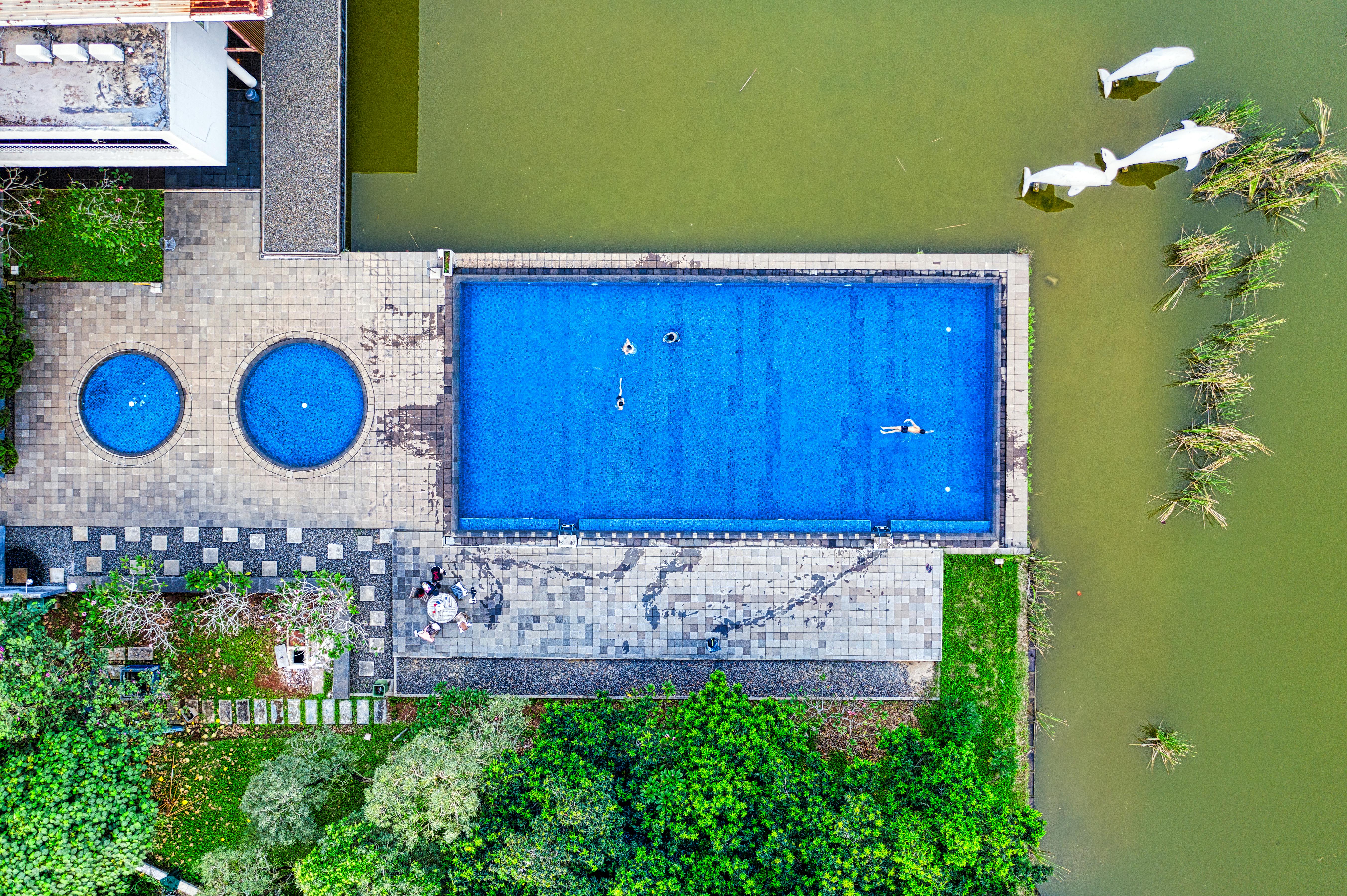 Aerial View of Swimming Pool · Free Stock Photo