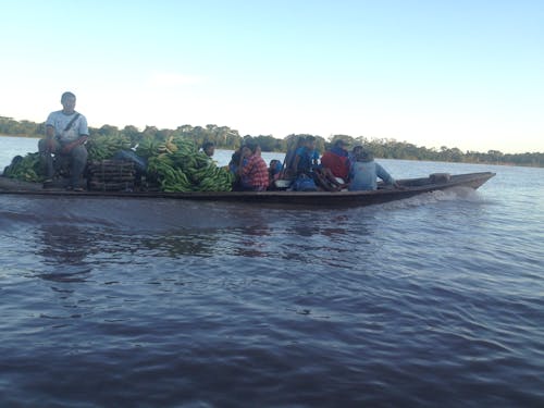 คลังภาพถ่ายฟรี ของ paseo en bote