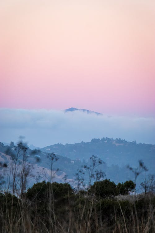 丘, 垂直ショット, 夜明けの無料の写真素材