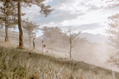 Free Distant calm bride and groom standing on calm misty meadow in early morning looking away Stock Photo