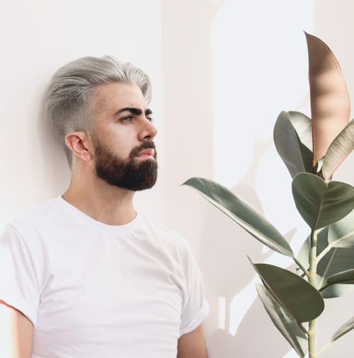 Man in White Crew Neck T-shirt Standing Beside Green Plant