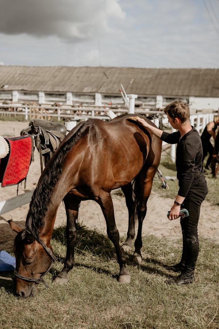 Man Grooming His Horse At The Ranch