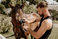 Guy Caring For a Horse