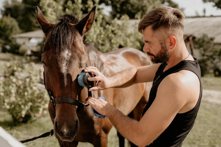 Guy Caring For A Horse