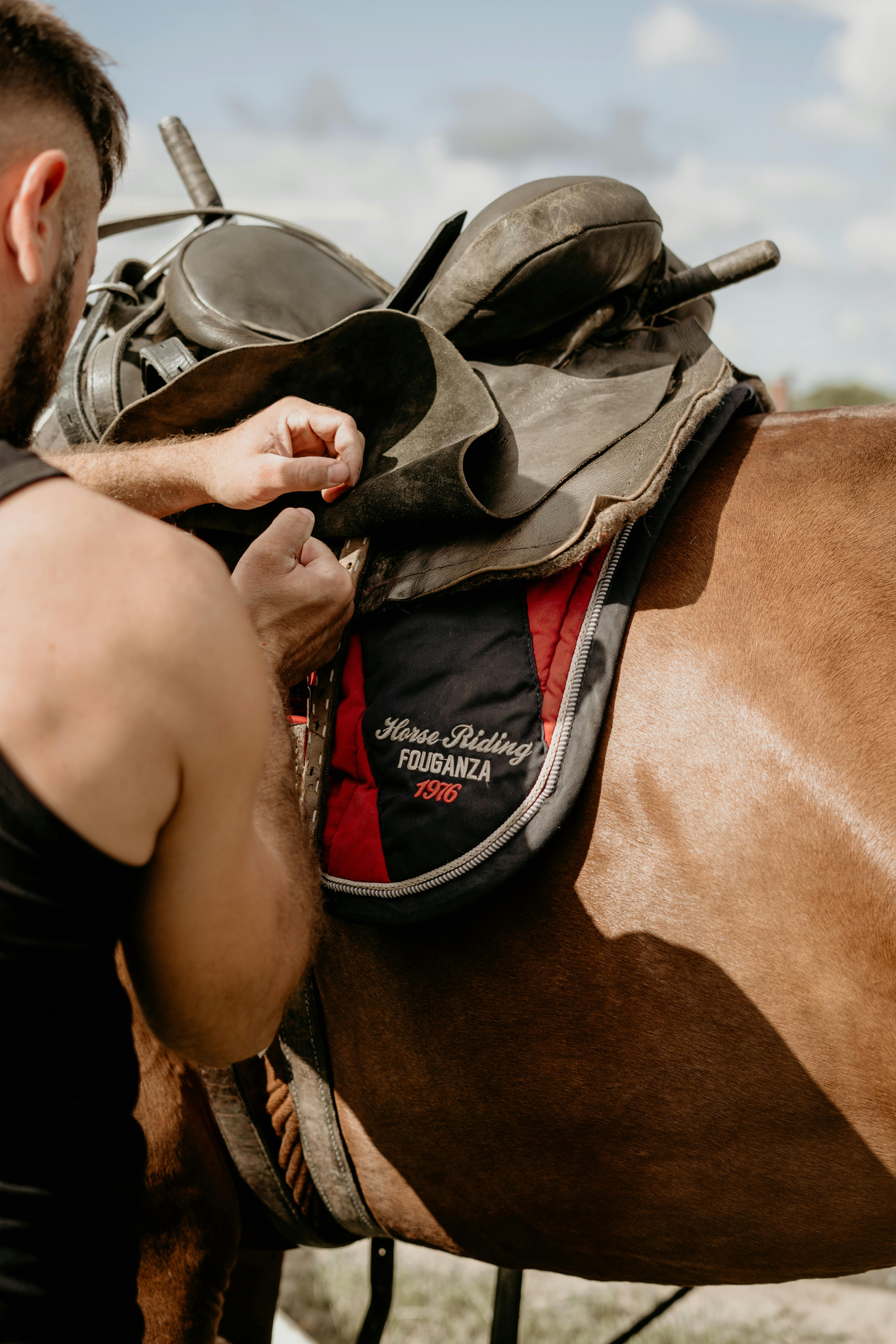 A man prepares a horse for riding by adjusting the saddle in a sunny outdoor setting.