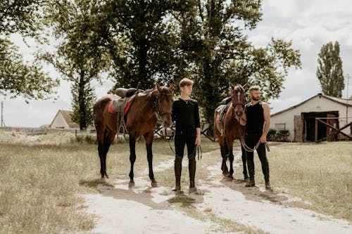 Бесплатное стоковое фото с верховая езда, взрослые, всадники