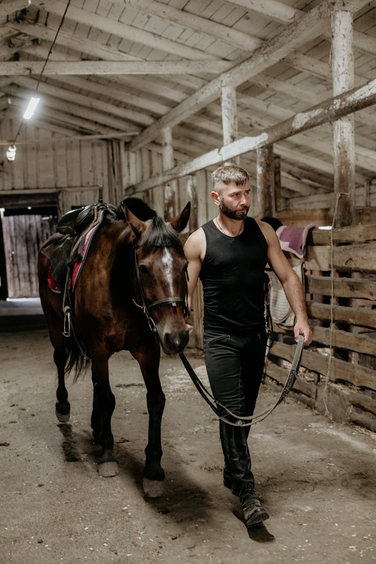 Man In Black Tank Top Leading A Horse Inside A Stable