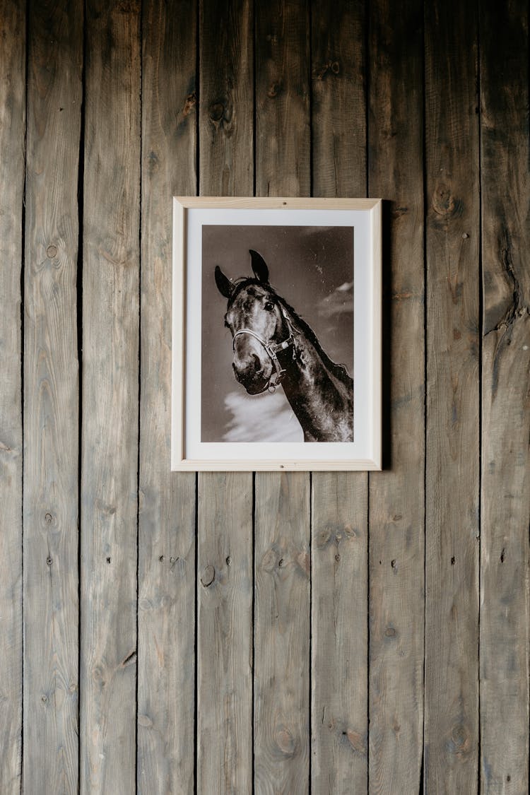 Photo Of A Horse Hanging On A Wall