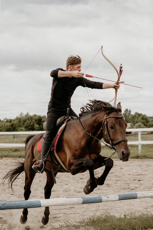 Fotos de stock gratuitas de animal, arco y flecha, caballo