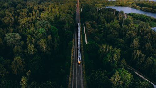 ağaçlar, antrenman yaptırmak, demir yolu içeren Ücretsiz stok fotoğraf