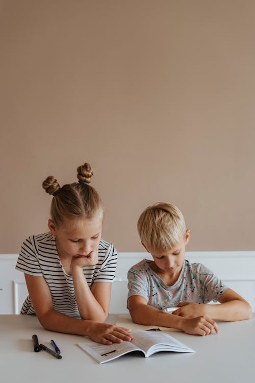 Brother and Sister Studying