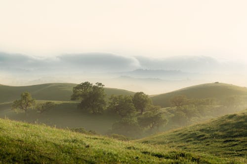 Green hilly valley with lush vegetation on cloudy day