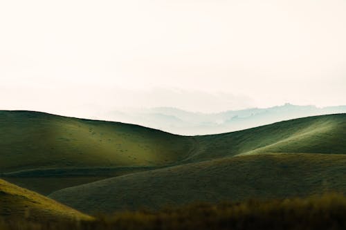 Spacious grassy hills under clear sky