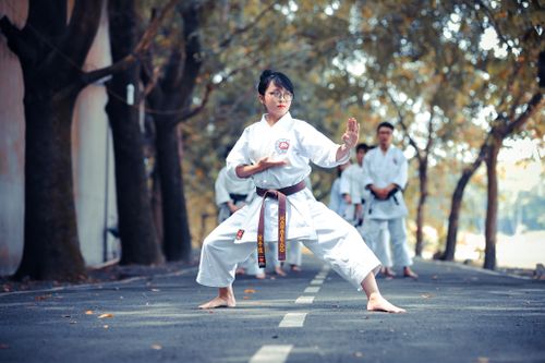 Free stock photo of karatedo Stock Photo