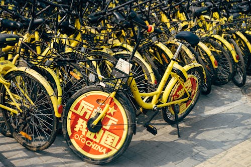 A Collection of Bicycles Impounded