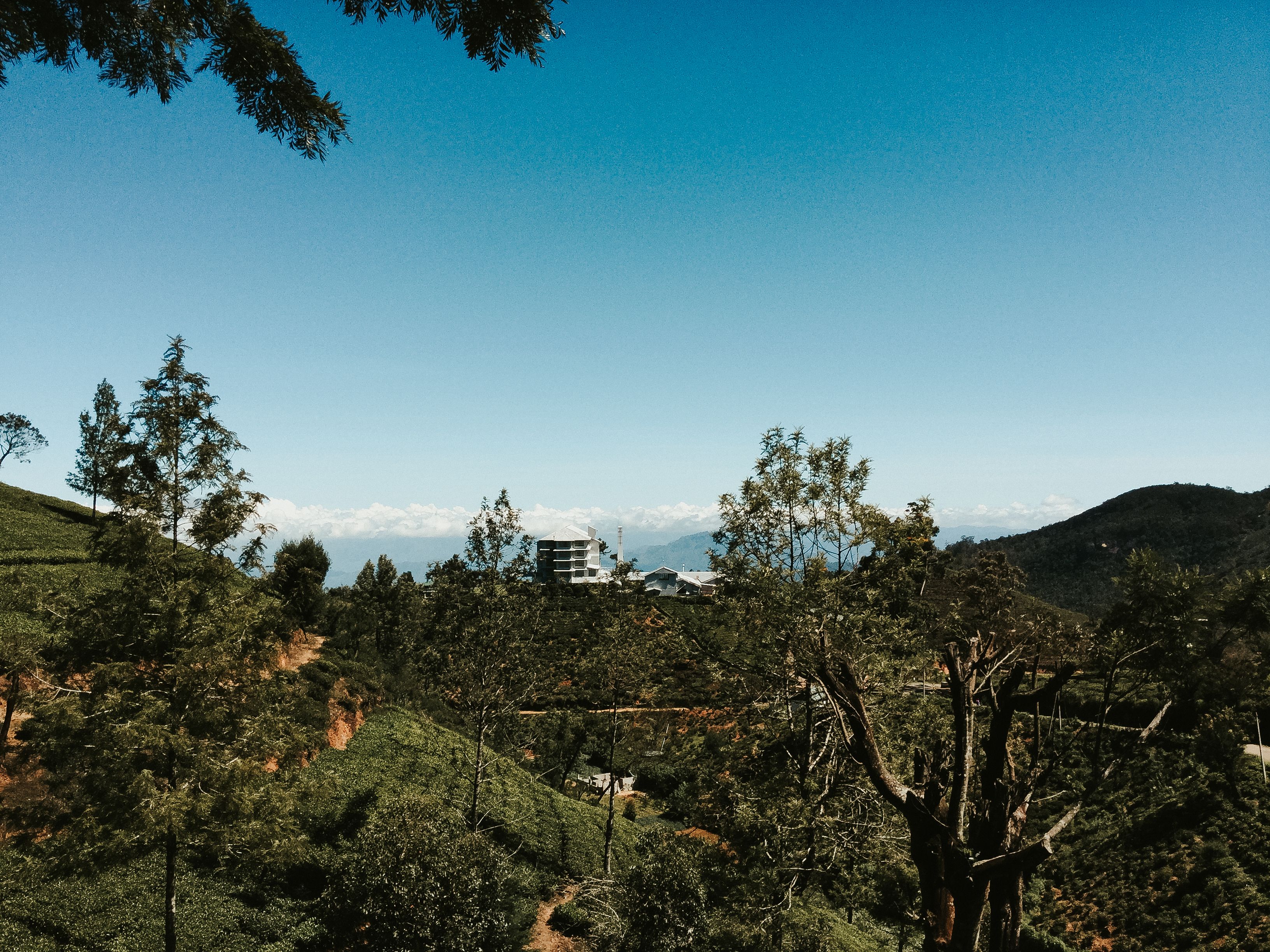 Araliya Green Hills: A Practical Guide to Sri Lanka's Highland Retreat