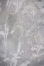 Grey Concrete Floor