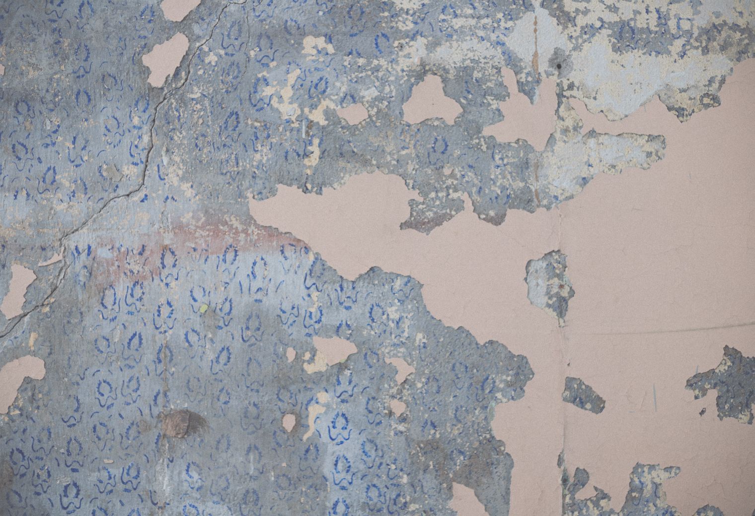 Wallpapering in Hounslow — dust sheets down and the room fully protected