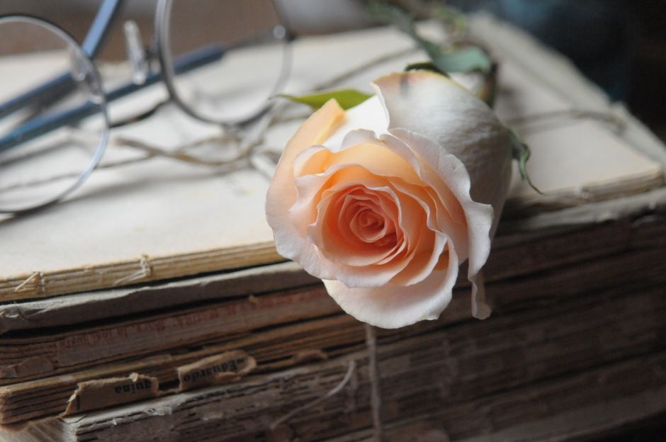 Livro para Colorir kit com 50 Imagens de Rosas- Seu Momento de Paz e Criatividade COL029