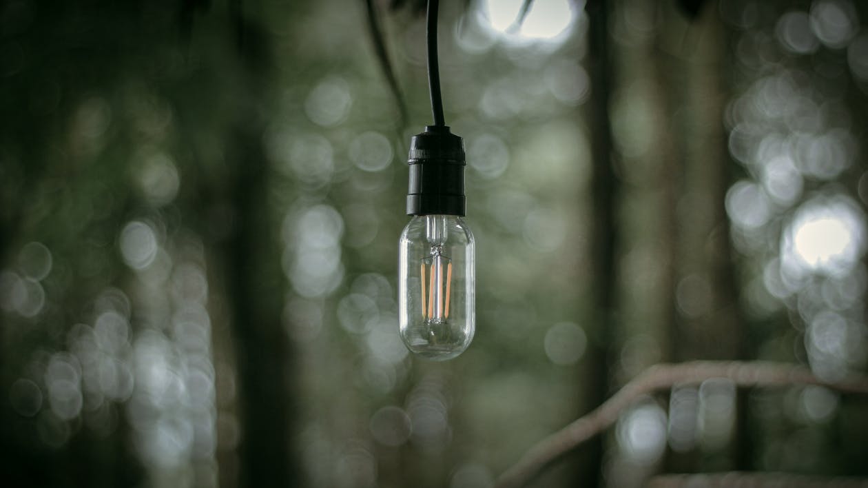 Close-Up Shot of a Glass Light Bulb