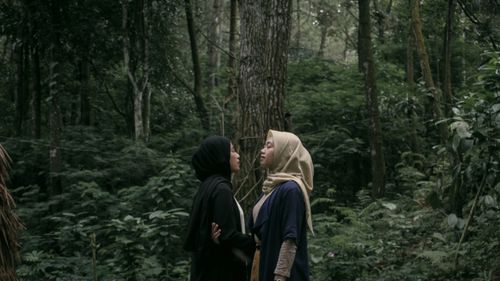 Free Two women in hijabs standing in a serene forest environment, embracing nature. Stock Photo