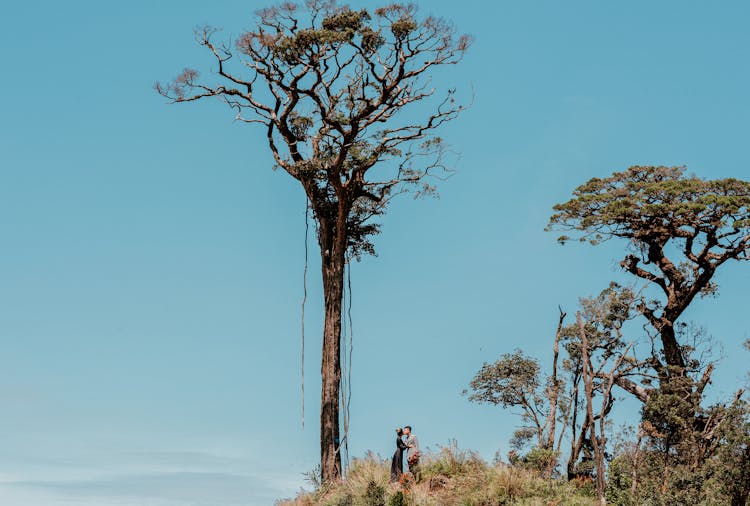 Young Couple Near Tall Tree On Hill