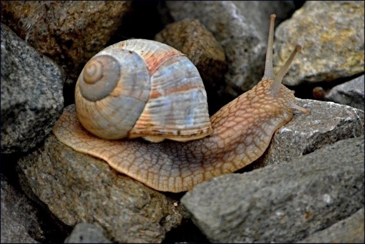 Maths working written on a whiteboard showing equations and method