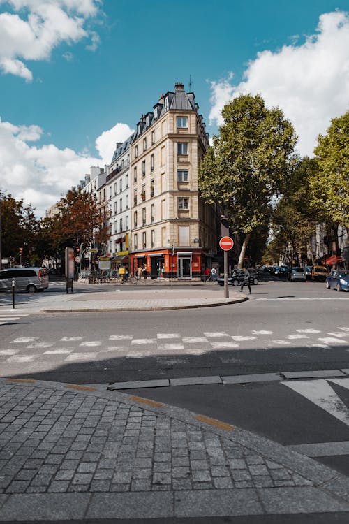 Bâtiment En Béton Brun Près Des Arbres Verts