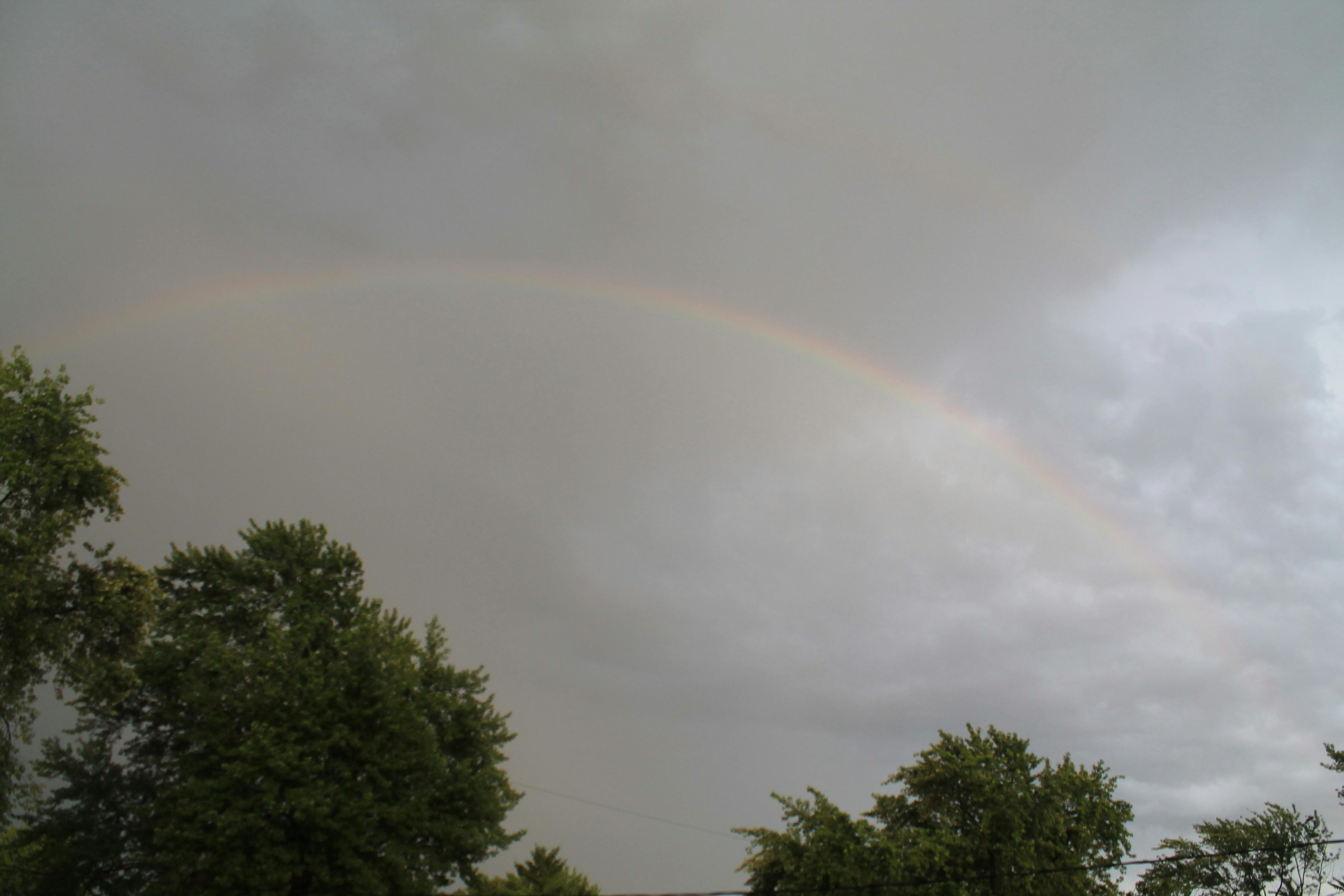 Volkswagen Golf sunroof with drainage system components