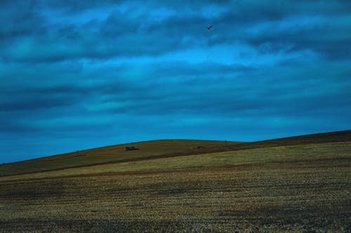 Grass hills under bright blue sky in twilight