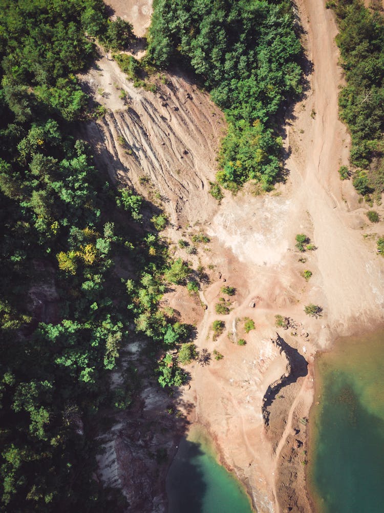 Aerial View Of Deforestation