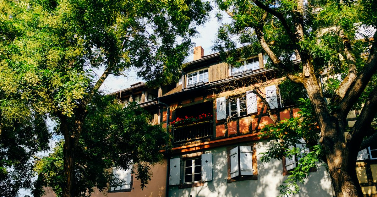 From below of aged residential house with shutters on windows located on sunny street with tall lush trees in town