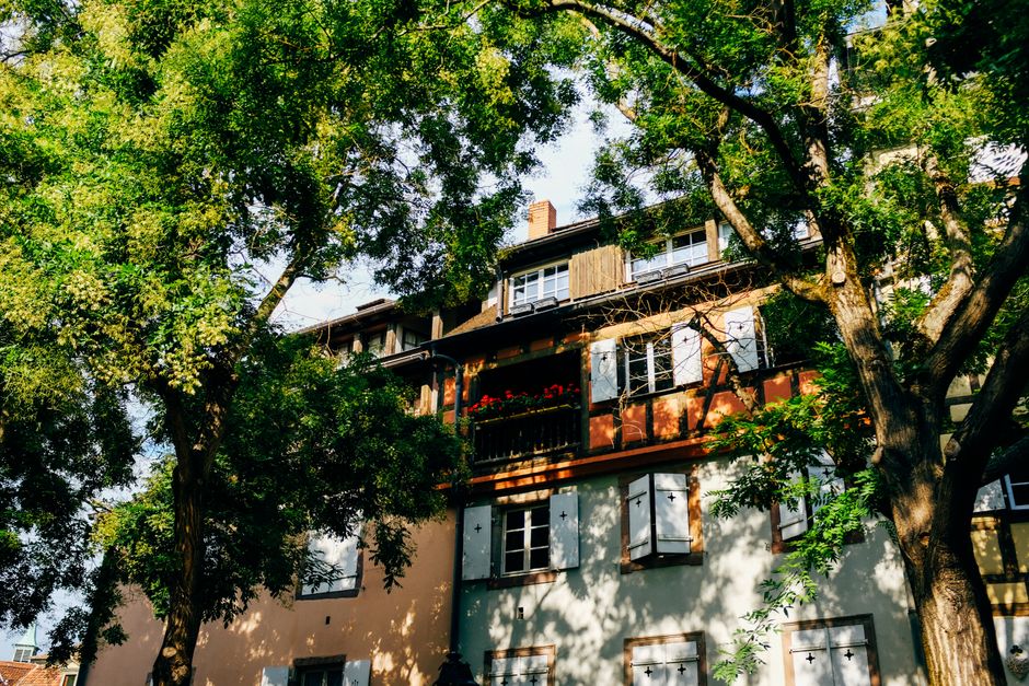 From below of aged residential house with shutters on windows located on sunny street with tall lush trees in town