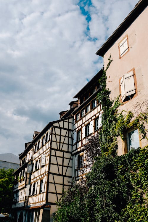 Aged residential buildings with trees