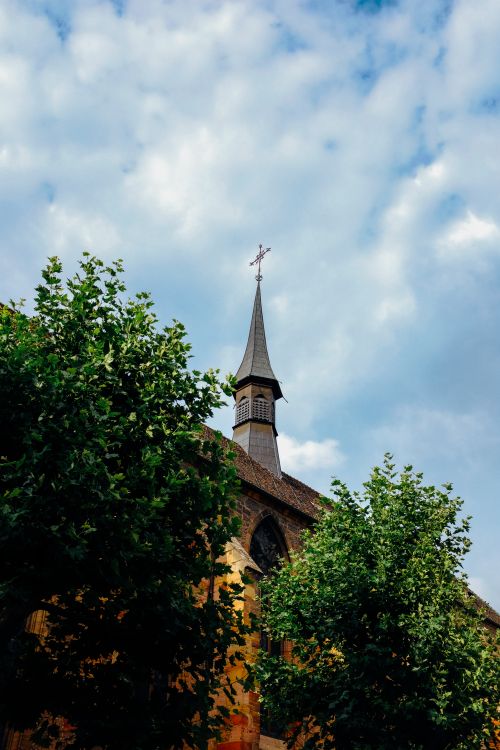 Free From below of lush green trees growing near ancient Dominican Church with cross on tower roof against cloudy blue sky in Colmar Stock Photo