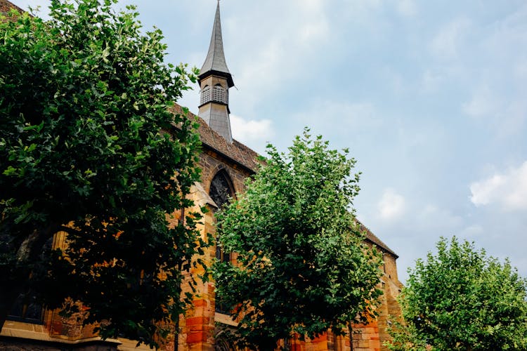 Historical Church With Green Plants