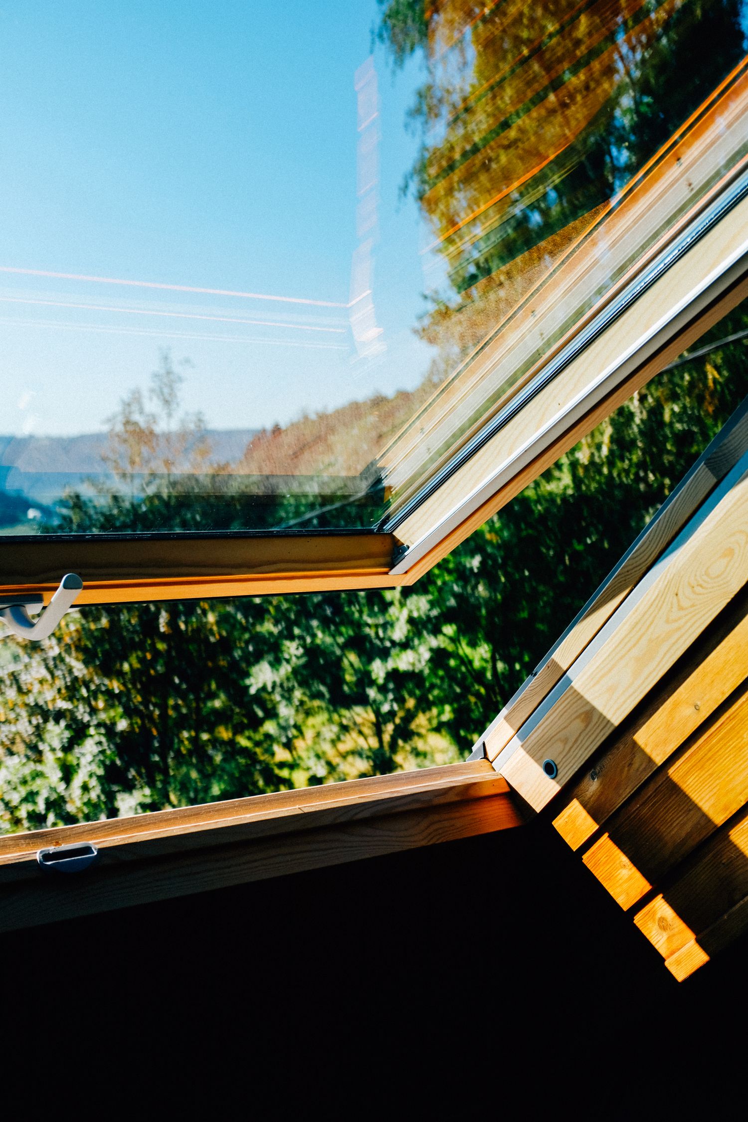 Opened window of wooden house in forest with green trees · Free Stock Photo