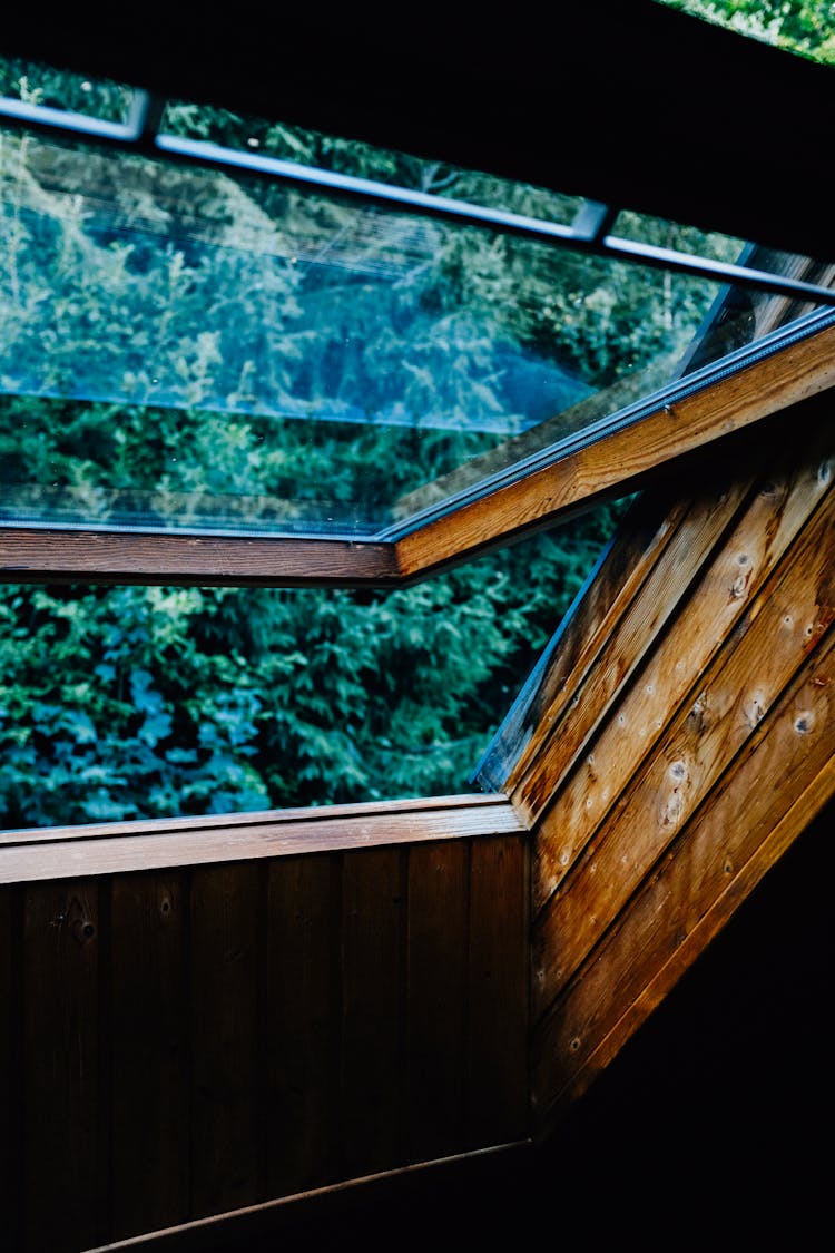 View From Open Wooden Window On Green Trees