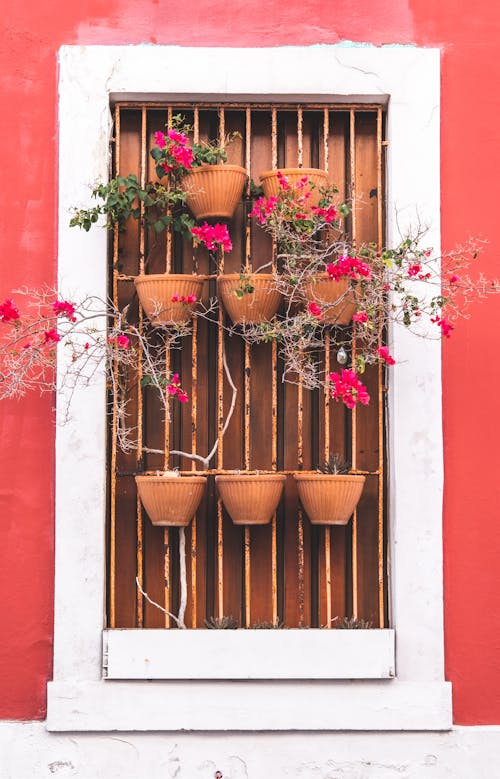 Foto profissional grátis de exterior, janela, pendurado