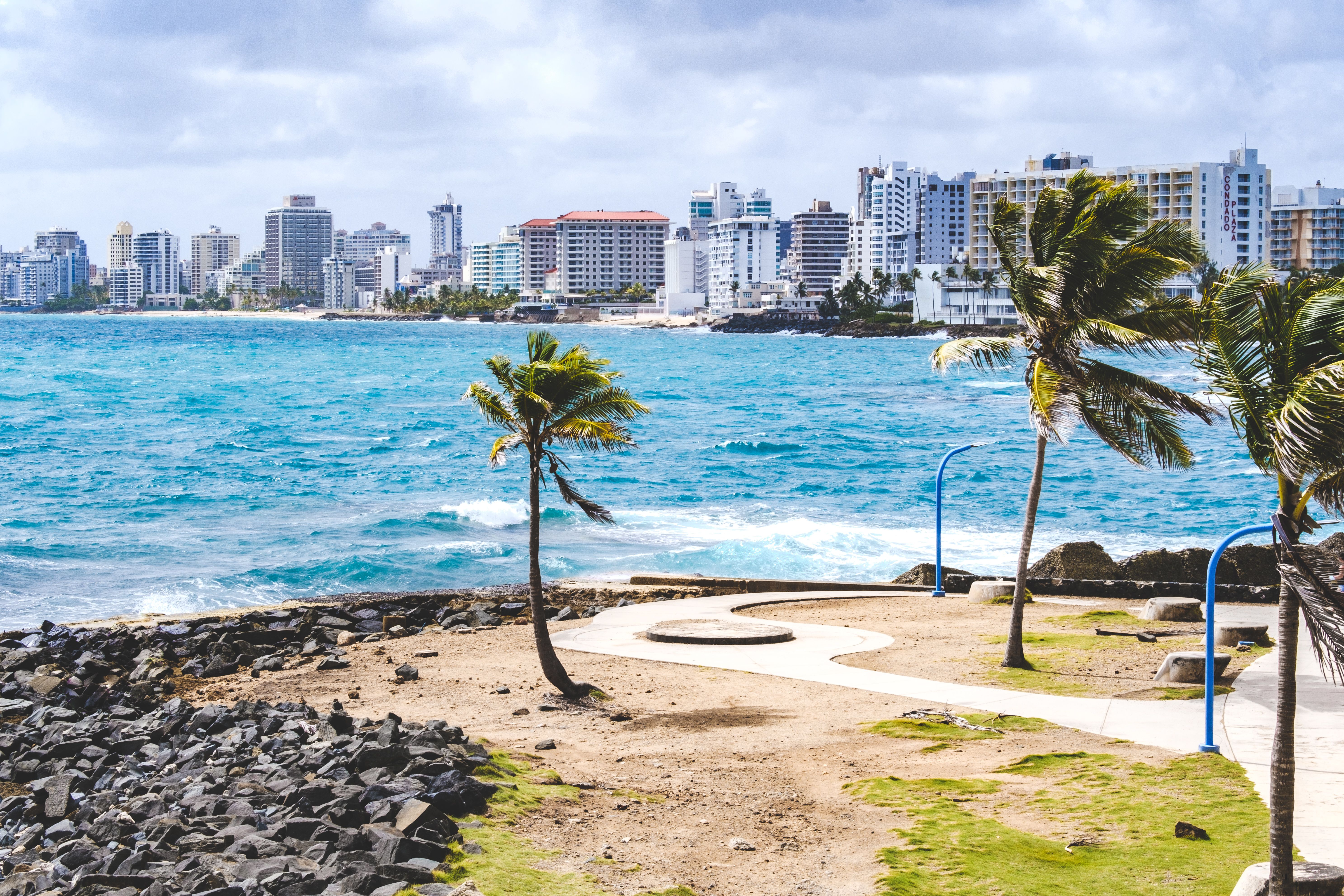 Palm trees sway near a vibrant city skyline overlooking a tropical beach with clear blue water.