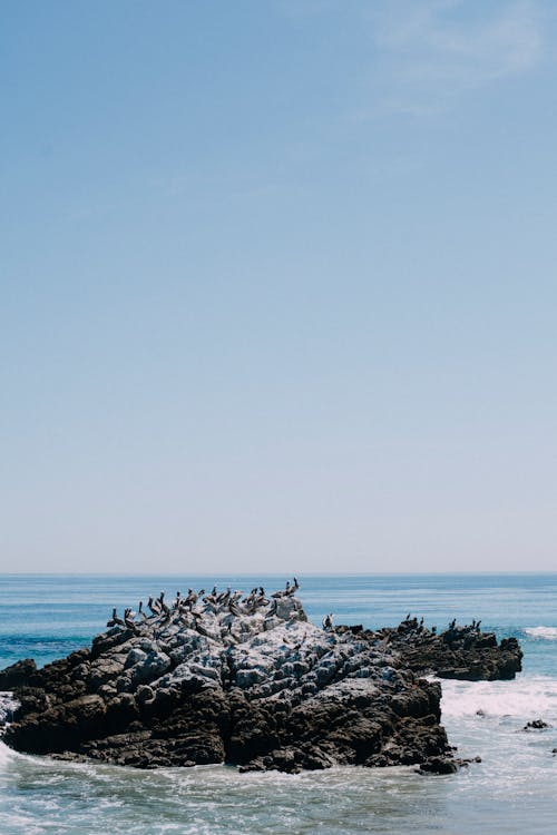 Бесплатное стоковое фото с вертикальный выстрел, голубое небо, море