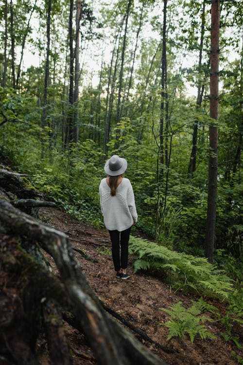 Ücretsiz Beyaz Ceketli Ve Siyah Pantolonlu Kadın Ormanda Yürüyüş Stok Fotoğraflar