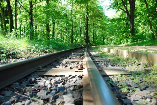 Gratis lagerfoto af einschienenbahn, park, zug