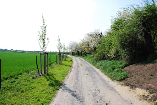 Gratis lagerfoto af bauer, feld, feldweg