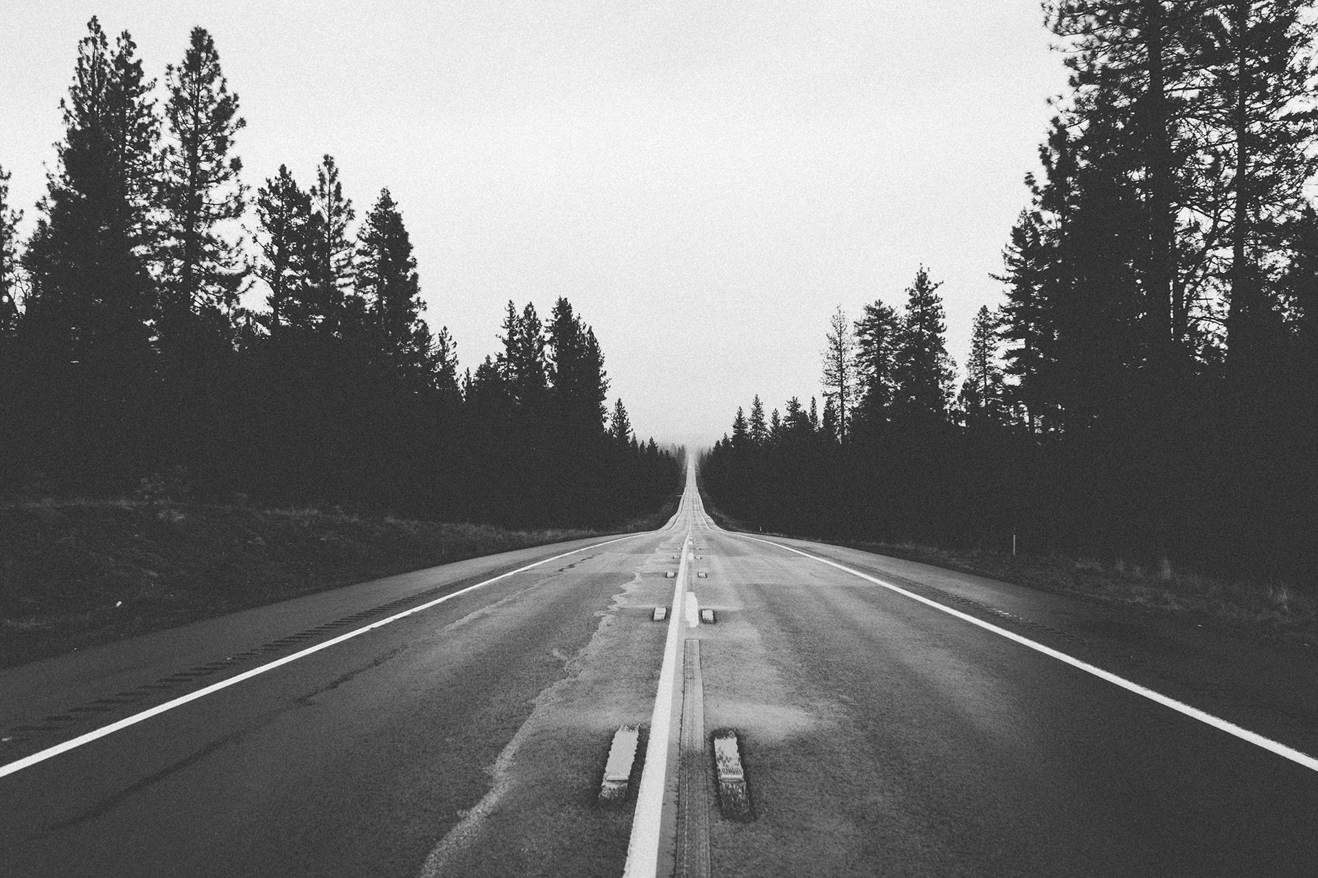 Grayscale Photography of Road Between Trees · Free Stock Photo