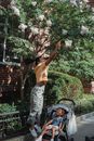 Ethnic woman reaching for flower on street with daughter in carriage