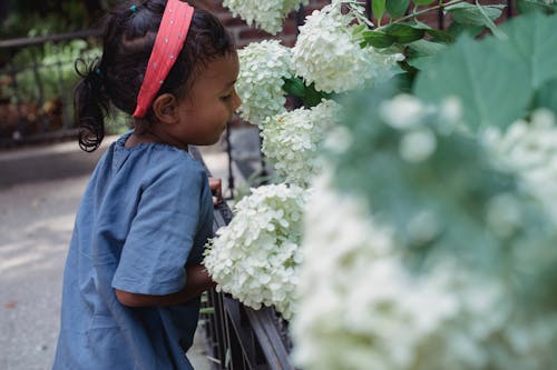 Free Small ethnic girl smelling flowers in garden Stock Photo