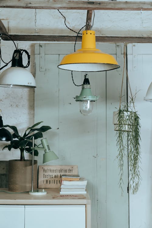 Free Green Plant on Brown Wooden Table Stock Photo